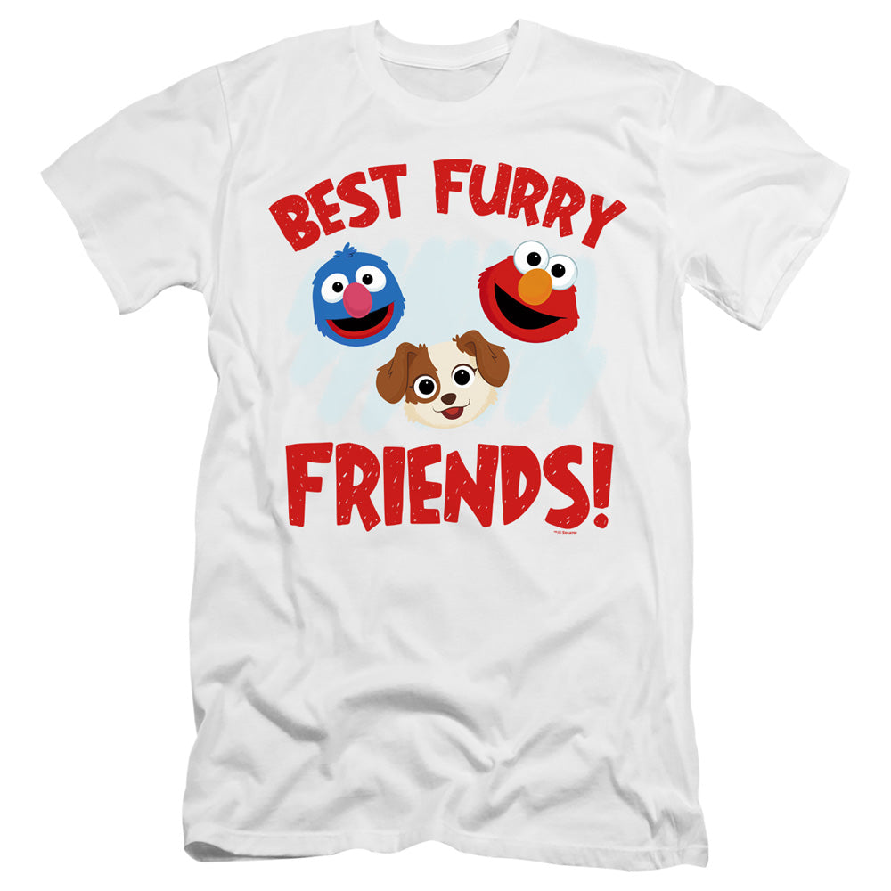 SESAME STREET FURRY FRIENDS FOREVER/BEST FURRY FRIENDS