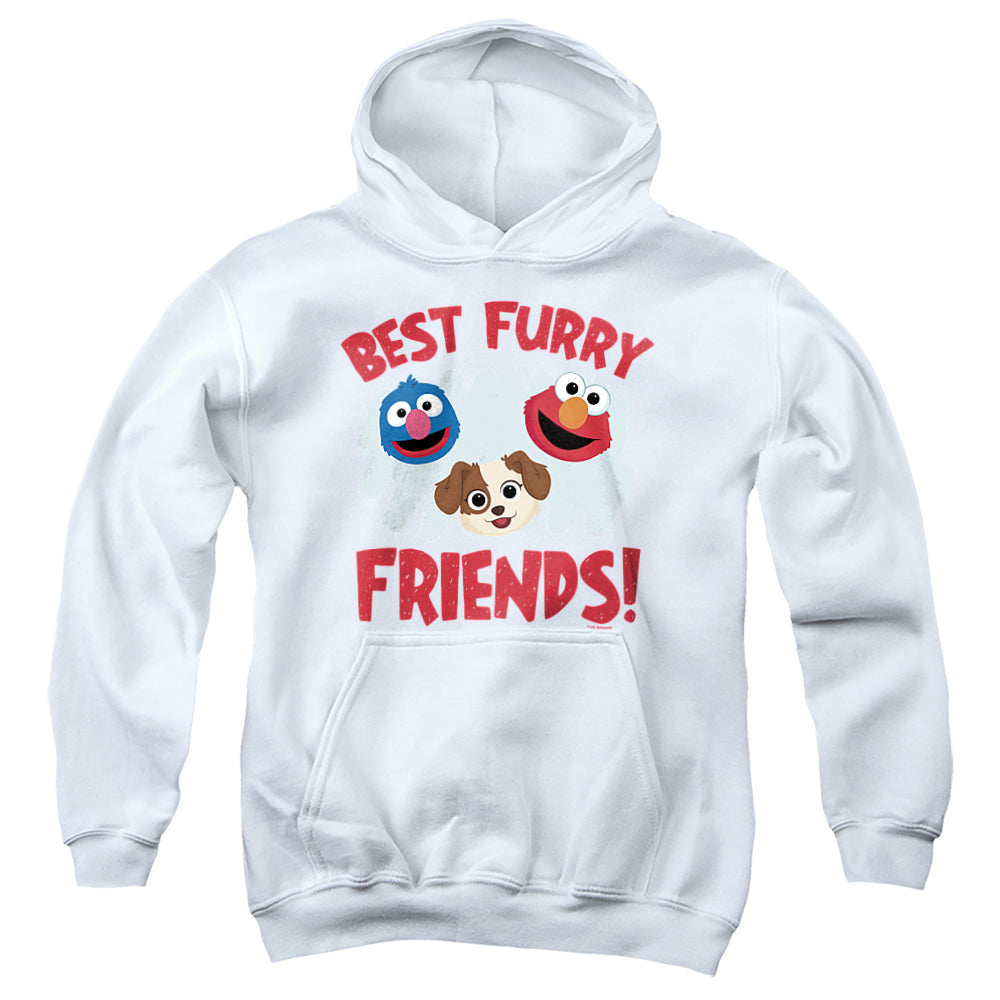 SESAME STREET FURRY FRIENDS FOREVER/BEST FURRY FRIENDS