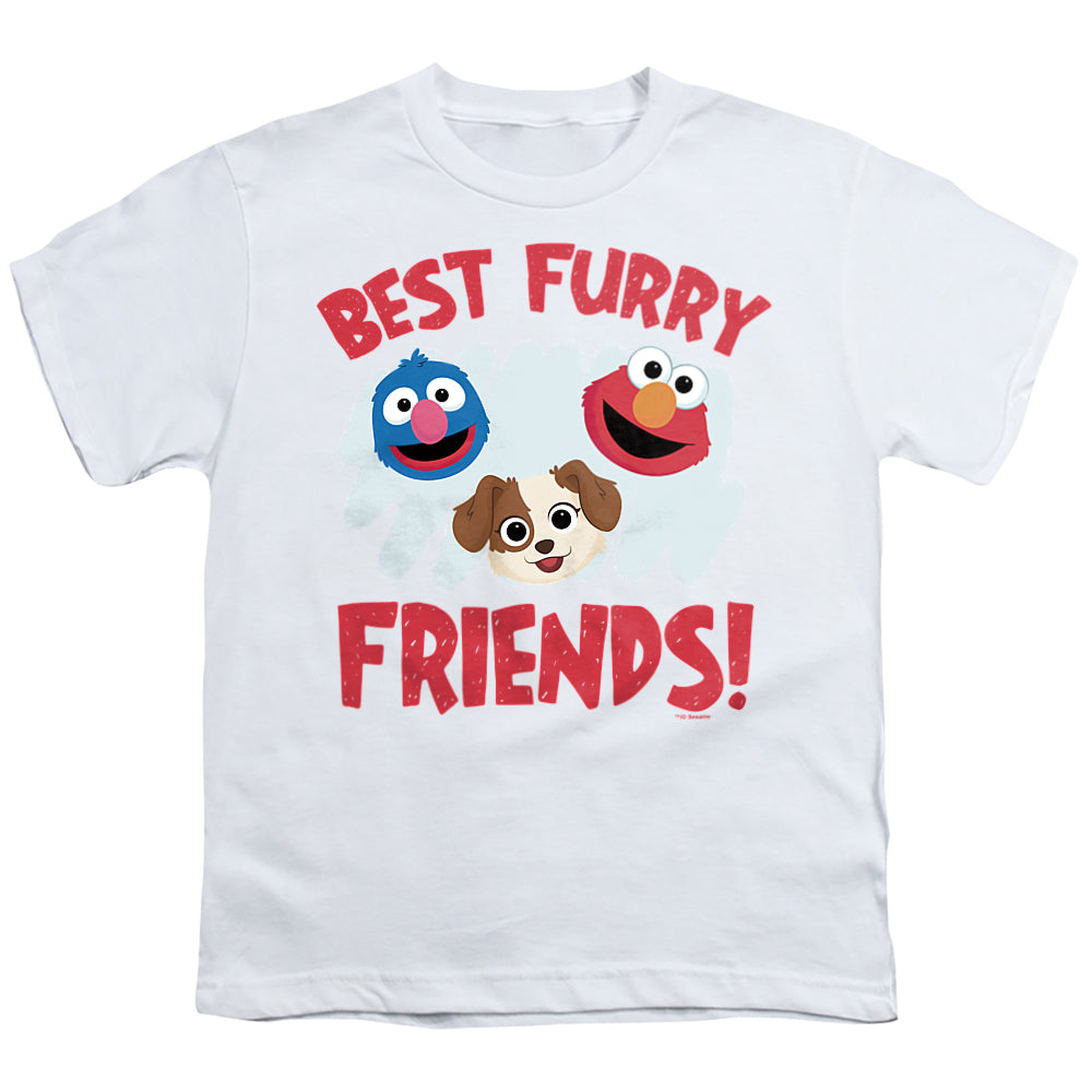 SESAME STREET FURRY FRIENDS FOREVER/BEST FURRY FRIENDS