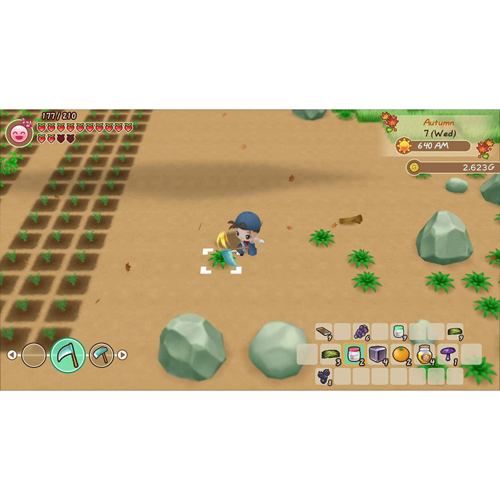 Story of Seasons: Friends of Mineral Town - Switch