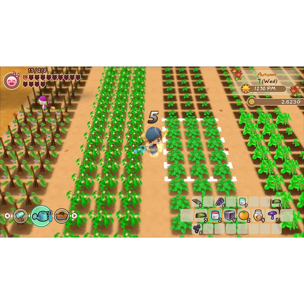 Story of Seasons: Friends of Mineral Town - Switch
