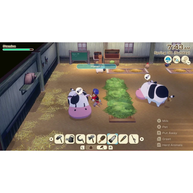 Story of Seasons: Grand Bazaar: Premium Edition - Switch 2
