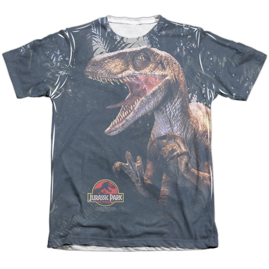 JURASSIC PARK/RAPTORS
