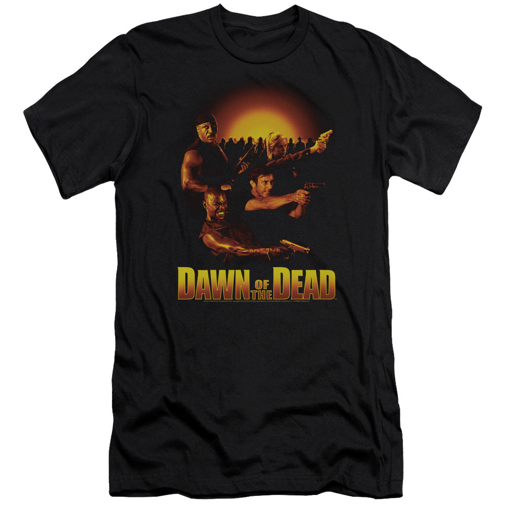 DAWN OF THE DEAD/DAWN COLLAGE
