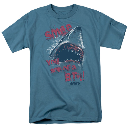 JAWS/SMILE