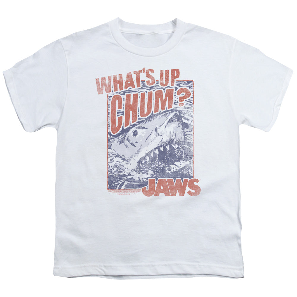 JAWS/CHUM