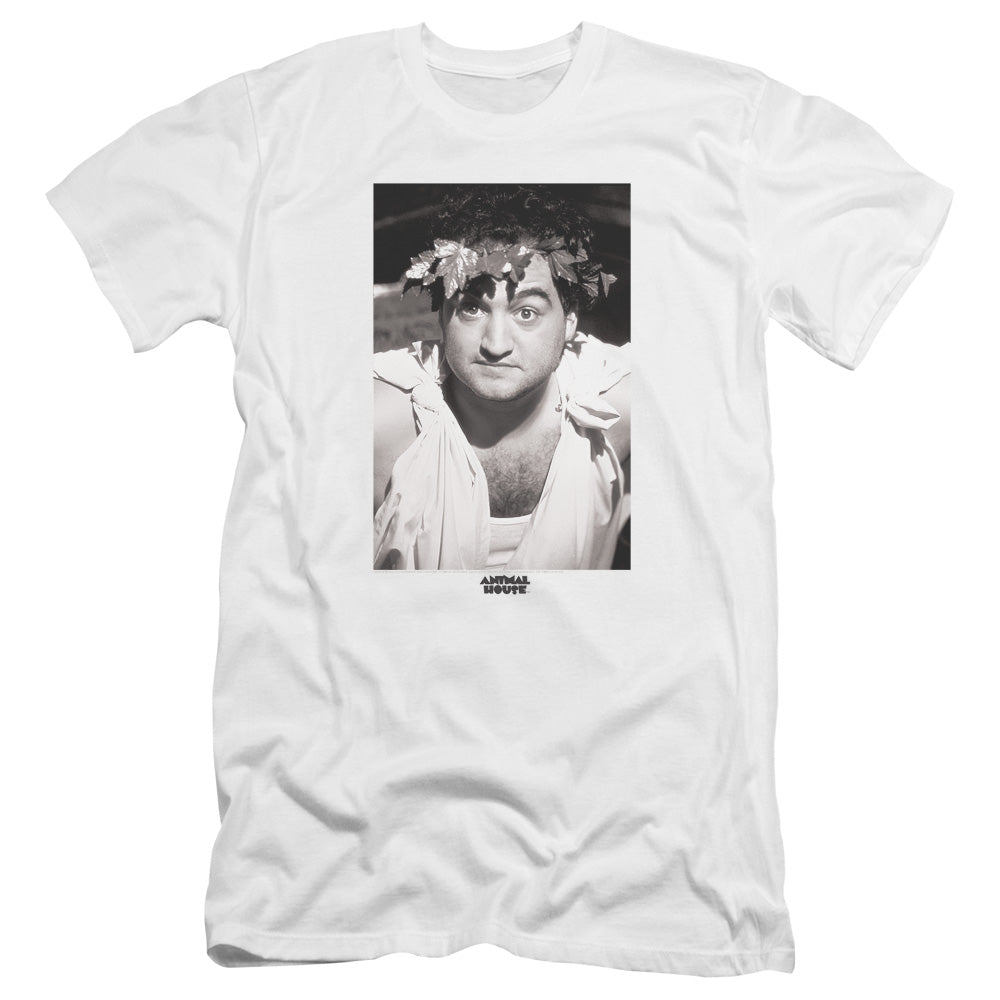 ANIMAL HOUSE/THE ANIMAL