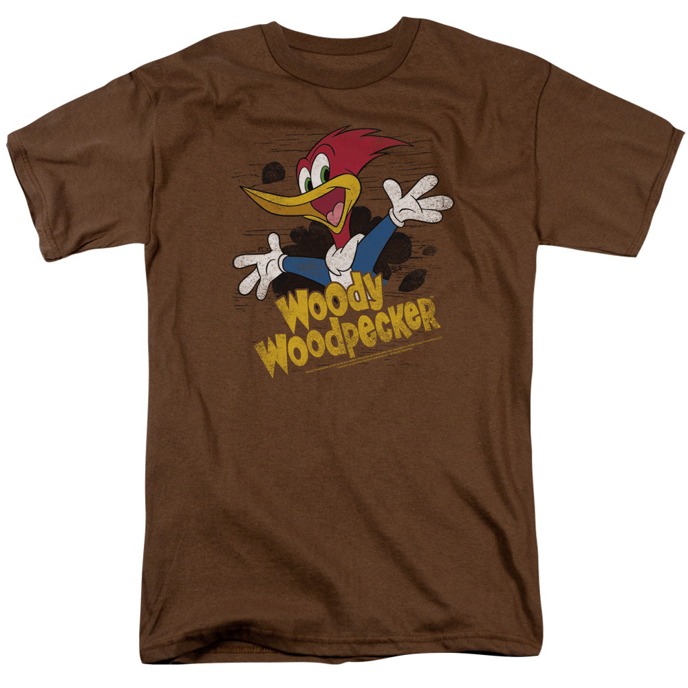 WOODY WOODPECKER/THROUGH THE TREE