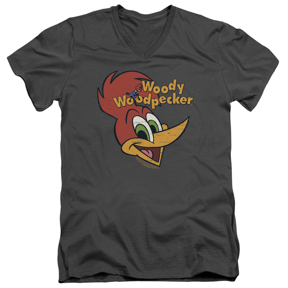WOODY WOODPECKER/RETRO LOGO