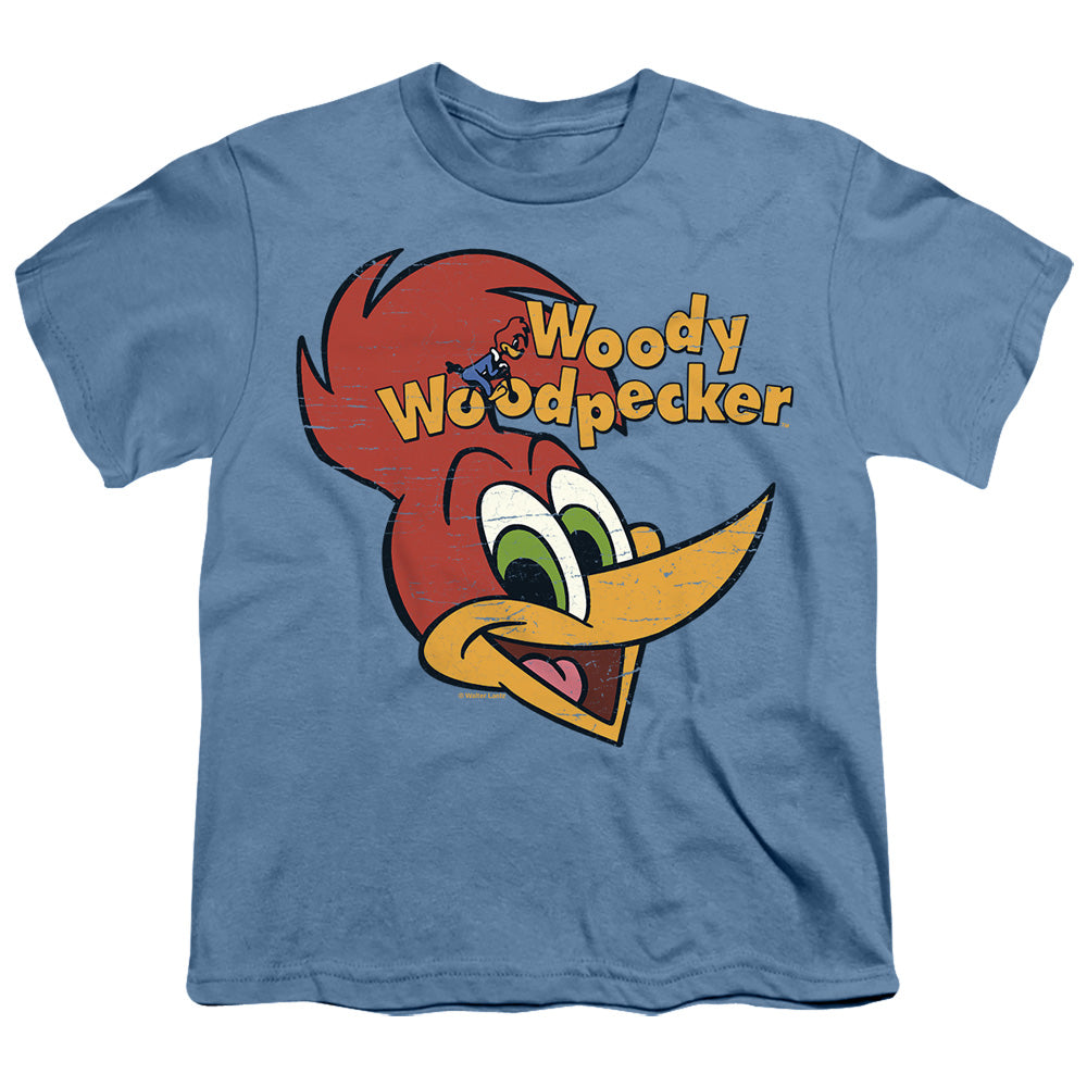 WOODY WOODPECKER/RETRO LOGO