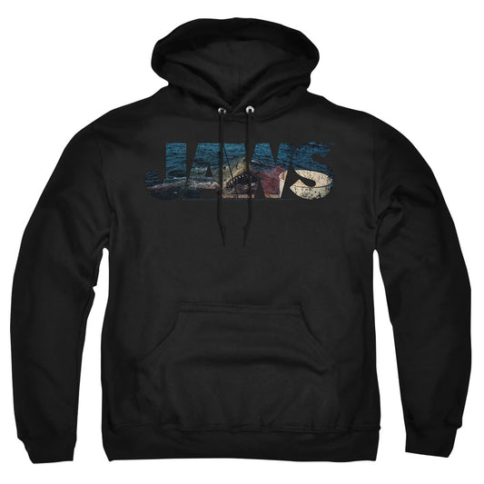JAWS/LOGO CUTOUT