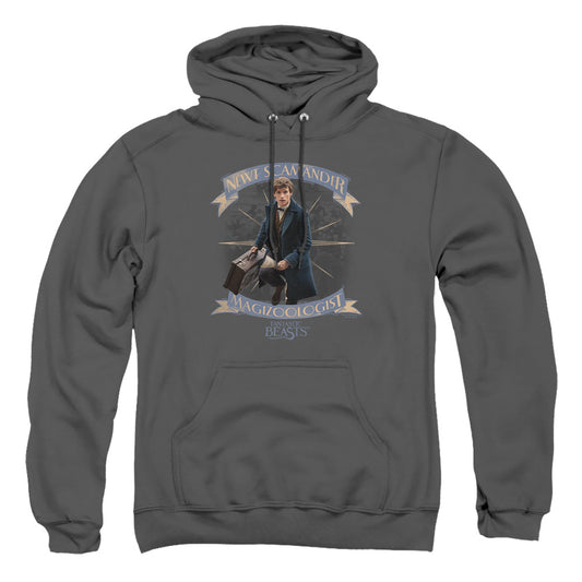 FANTASTIC BEASTS/NEWT SCAMANDER