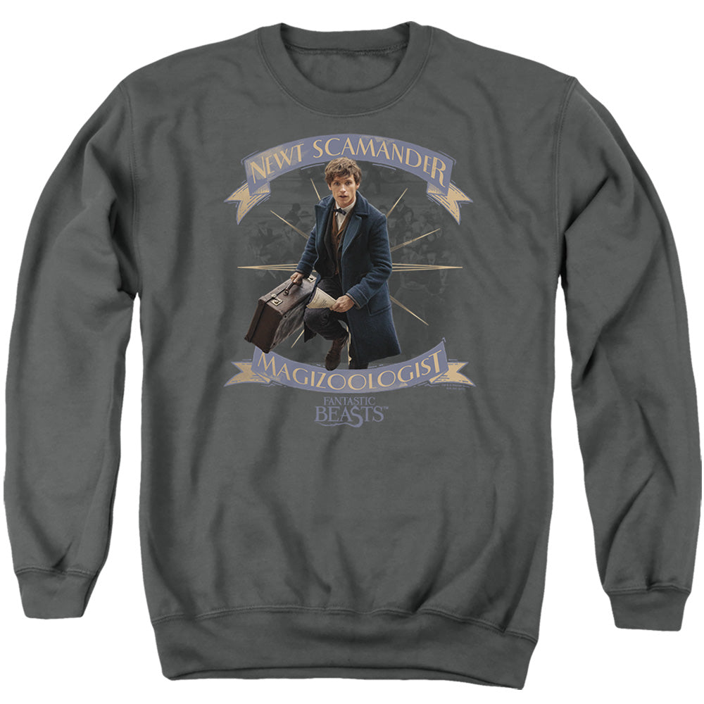 FANTASTIC BEASTS/NEWT SCAMANDER