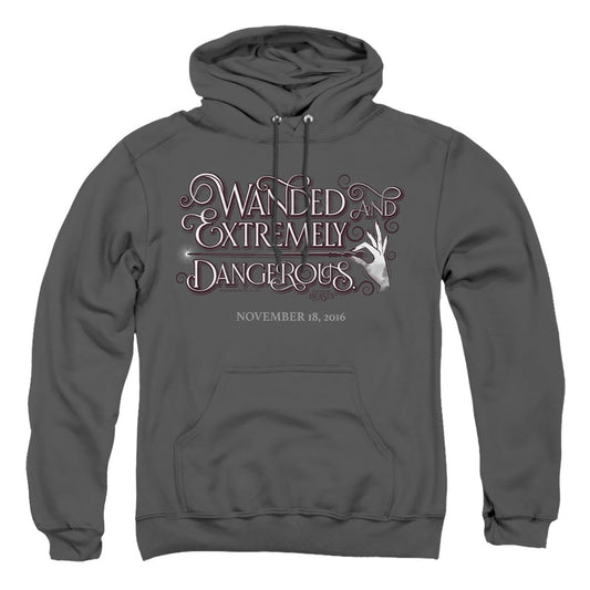 FANTASTIC BEASTS/WANDED