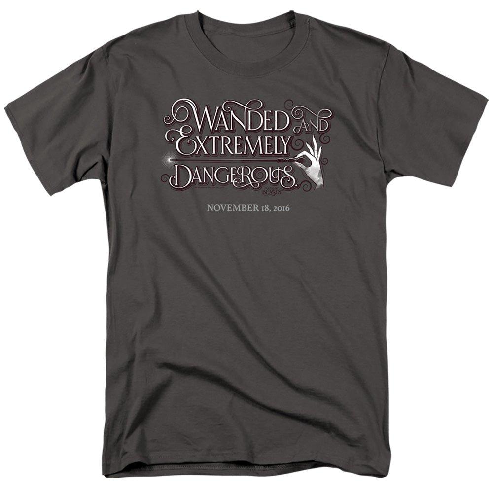FANTASTIC BEASTS/WANDED