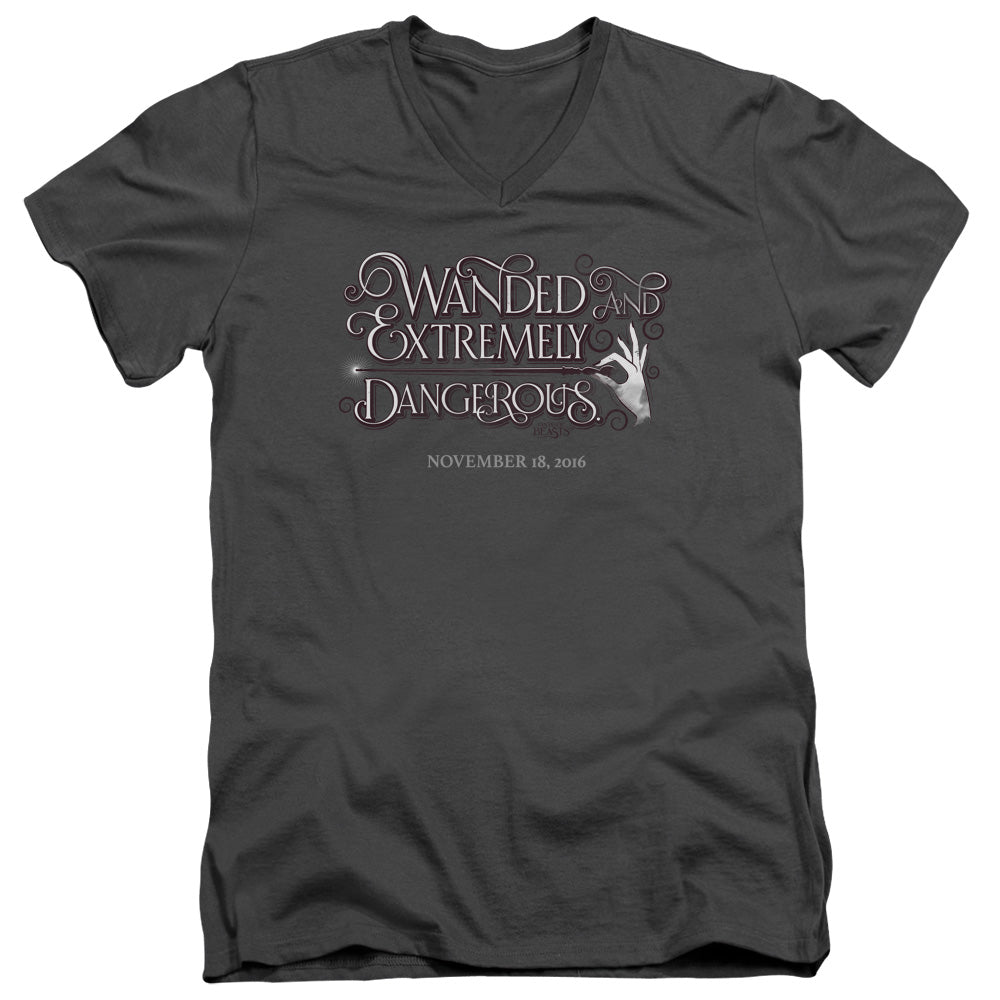 FANTASTIC BEASTS/WANDED