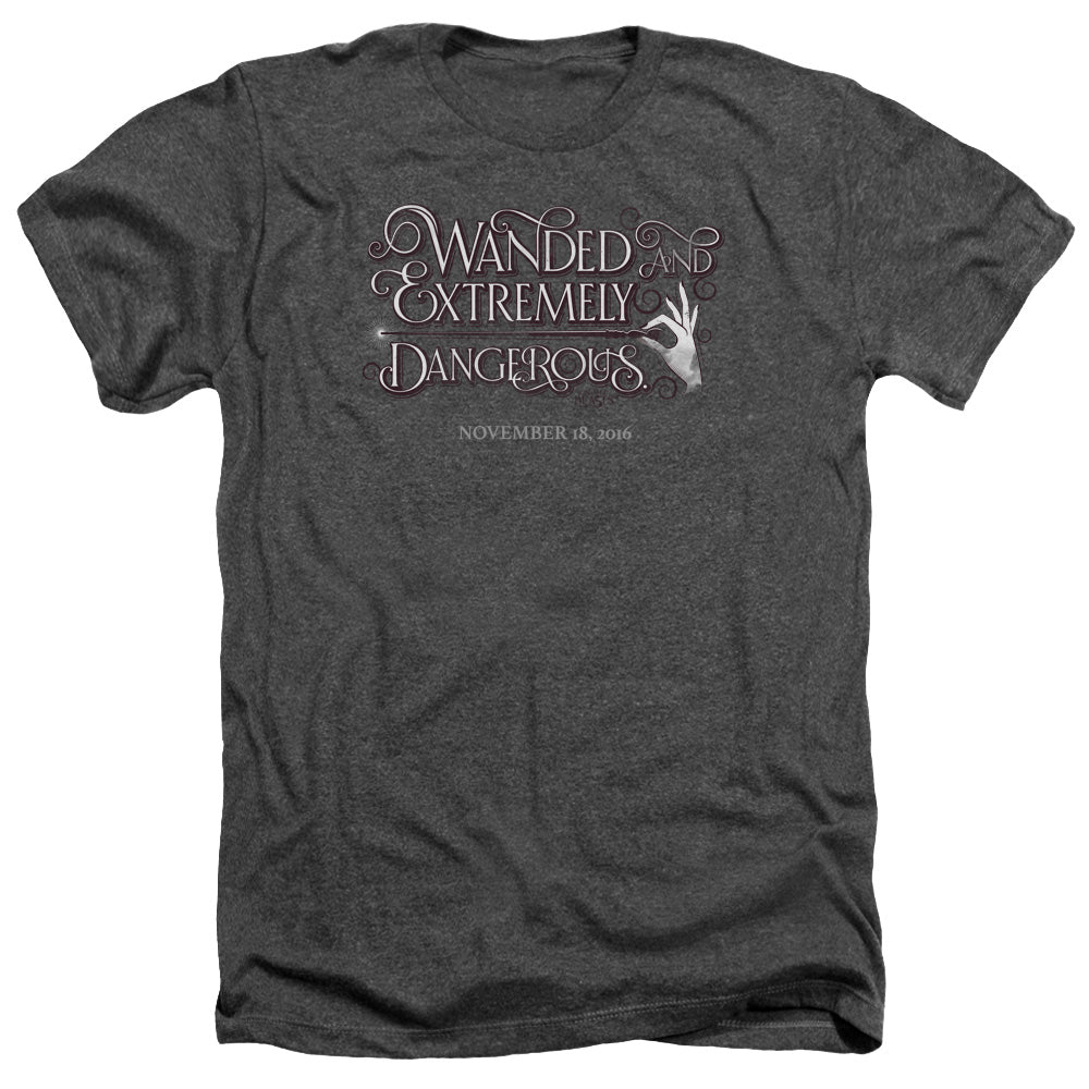 FANTASTIC BEASTS/WANDED