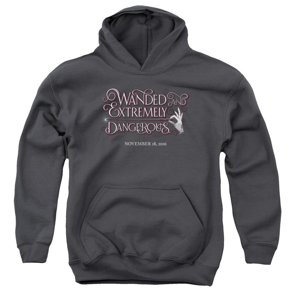 FANTASTIC BEASTS/WANDED