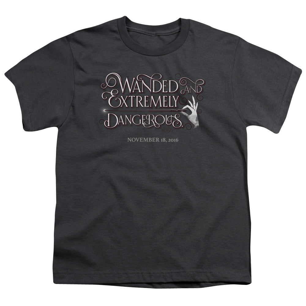 FANTASTIC BEASTS/WANDED