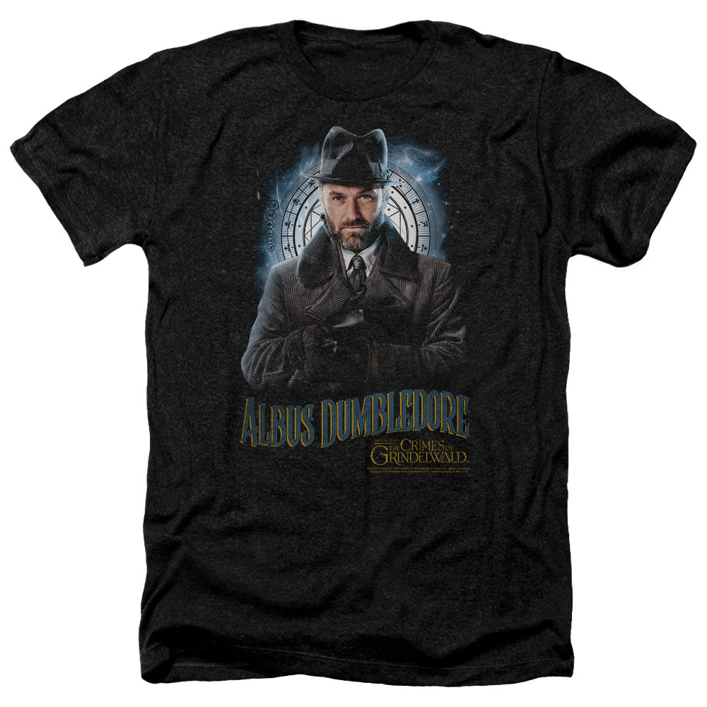FANTASTIC BEASTS 2/DUMBLEDORE