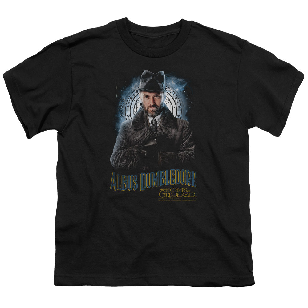 FANTASTIC BEASTS 2/DUMBLEDORE
