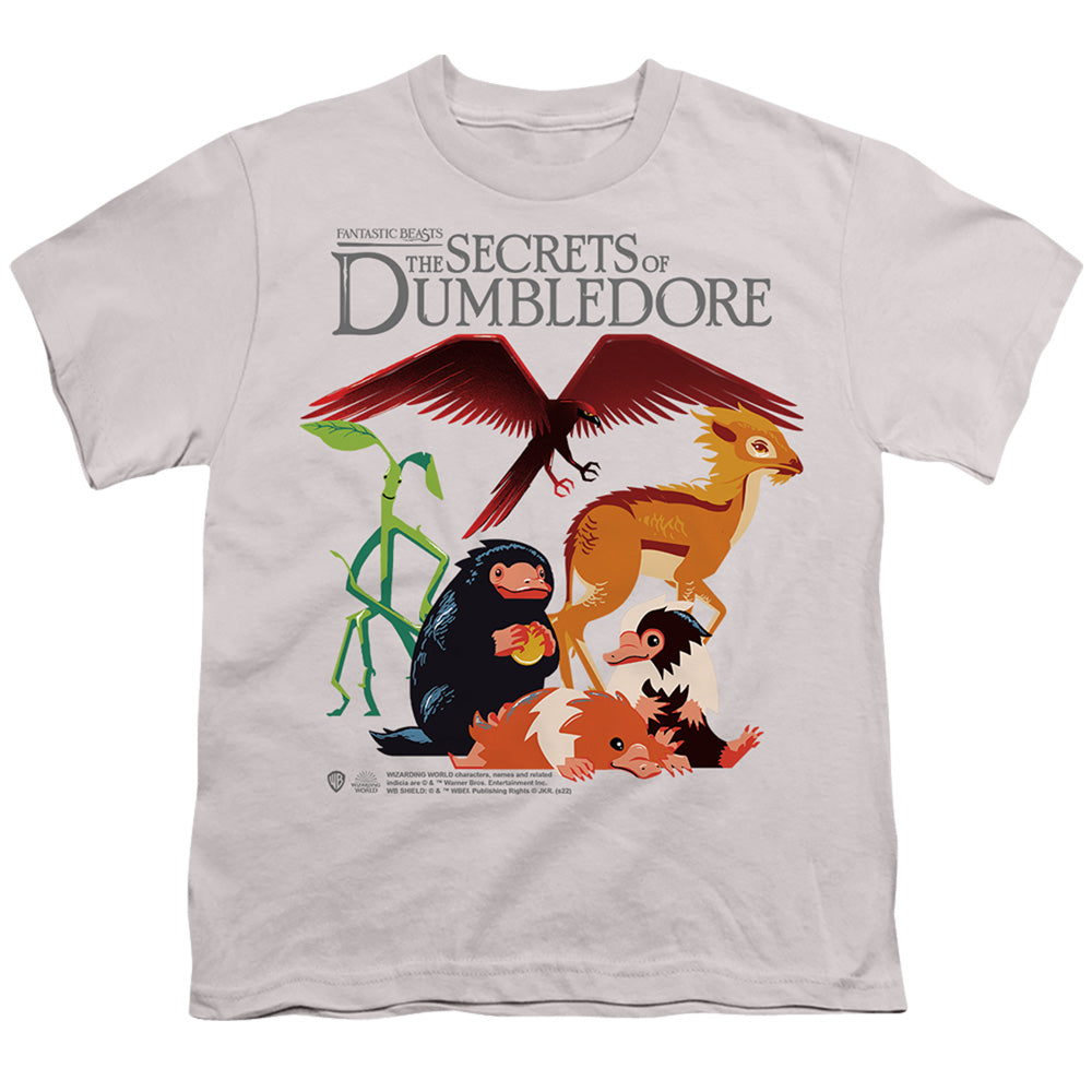FANTASTIC BEASTS THE SECRETS OF DUMBLEDORE/FANTASTIC BEASTS PILE