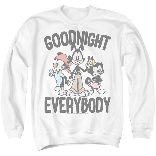 ANIMANIACS/THE SIBLINGS