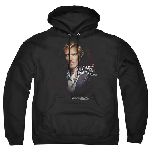 VAMPIRE DIARIES/NEVER DESTROY