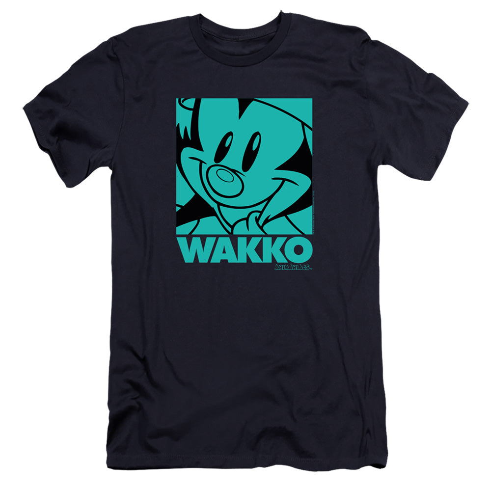ANIMANIACS/POP WAKKO