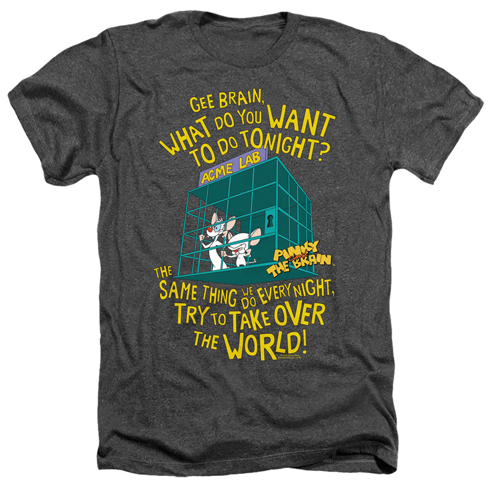 PINKY AND THE BRAIN/THE WORLD