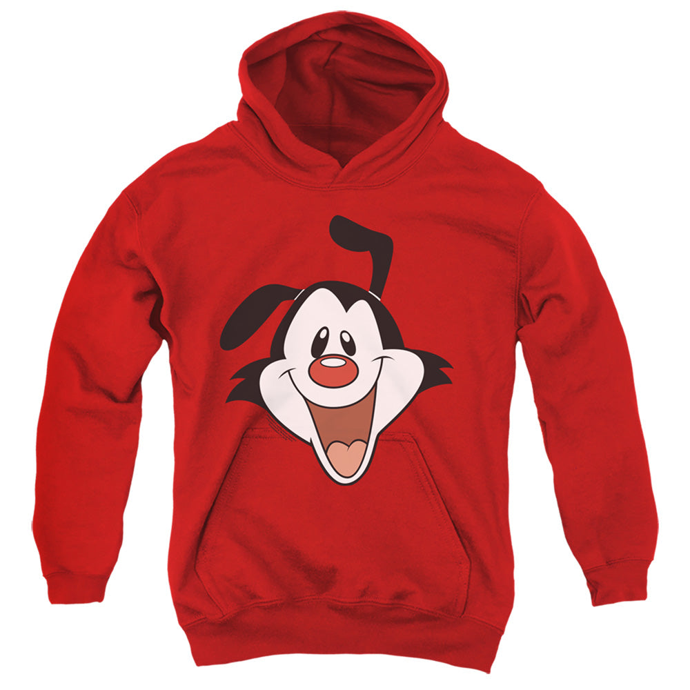 ANIMANIACS/YAKKO HEAD