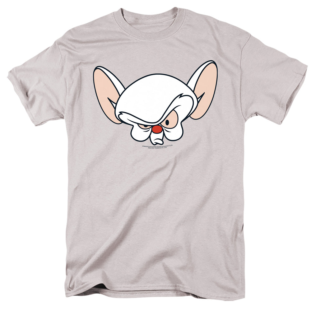 PINKY AND THE BRAIN/BRAIN