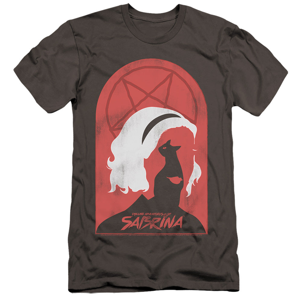 CHILLING ADVENTURES OF SABRINA/SABRINA AND SALEM