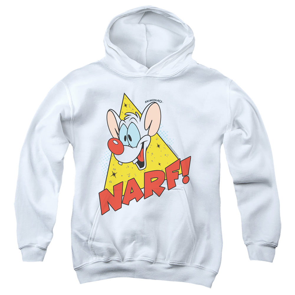 PINKY AND THE BRAIN/NARF