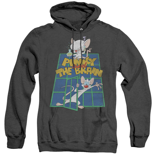 PINKY AND THE BRAIN/OL STANDARD