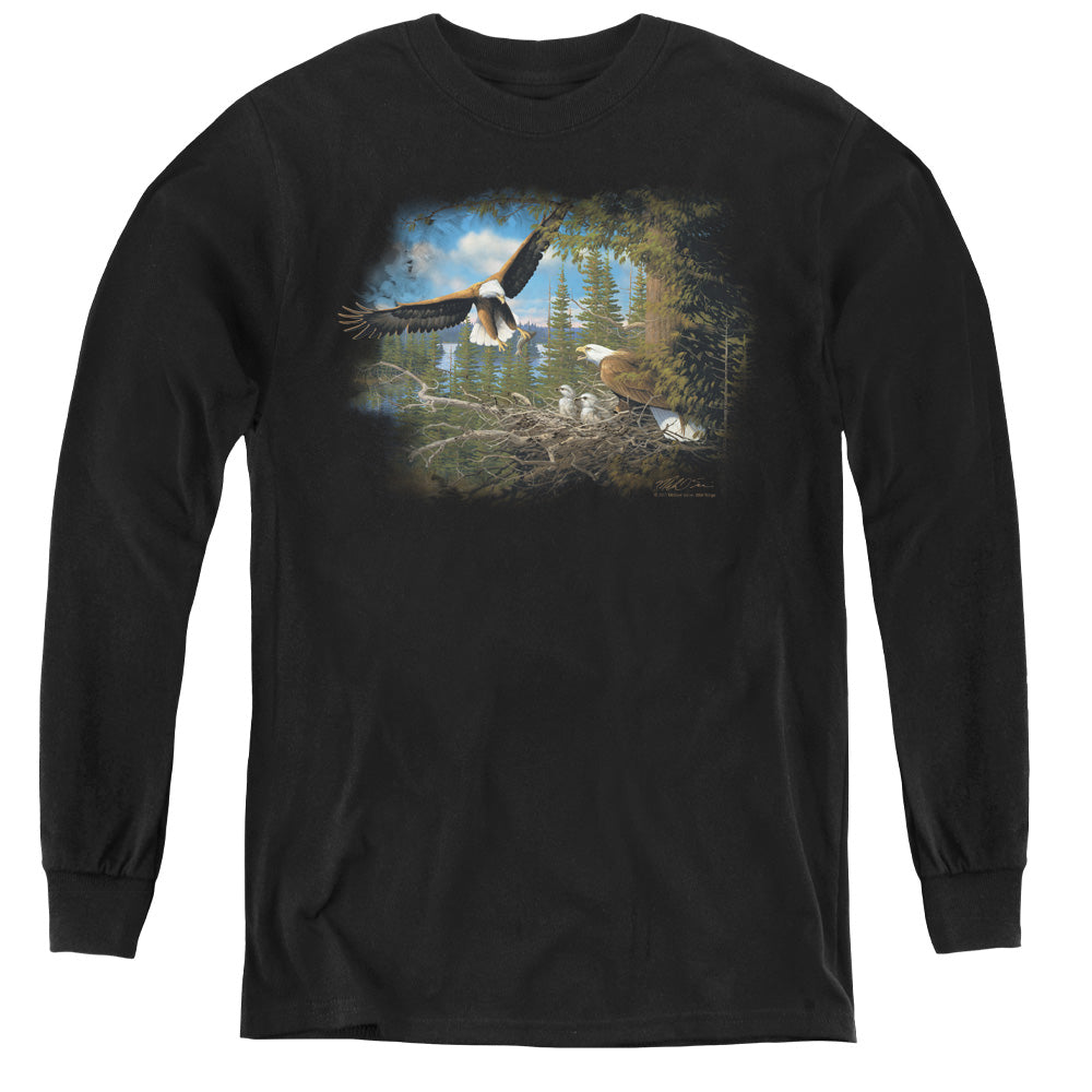WILDLIFE/SPRING BALD EAGLES
