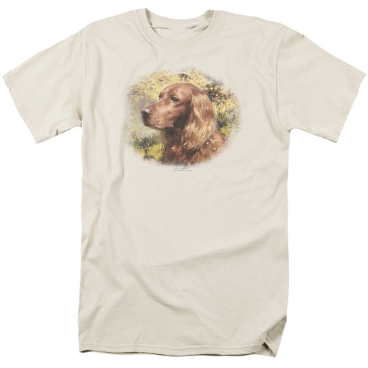 WILDLIFE/IRISH SETTER HEAD