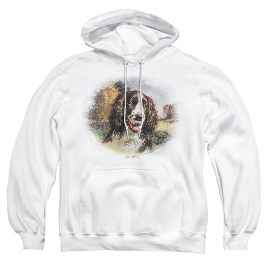 WILDLIFE/SPRINGER SPANIEL HEAD