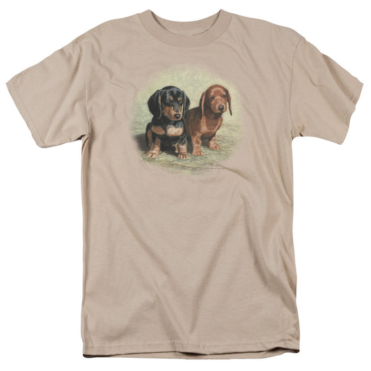 WILDLIFE/DACHSHUND PUPS