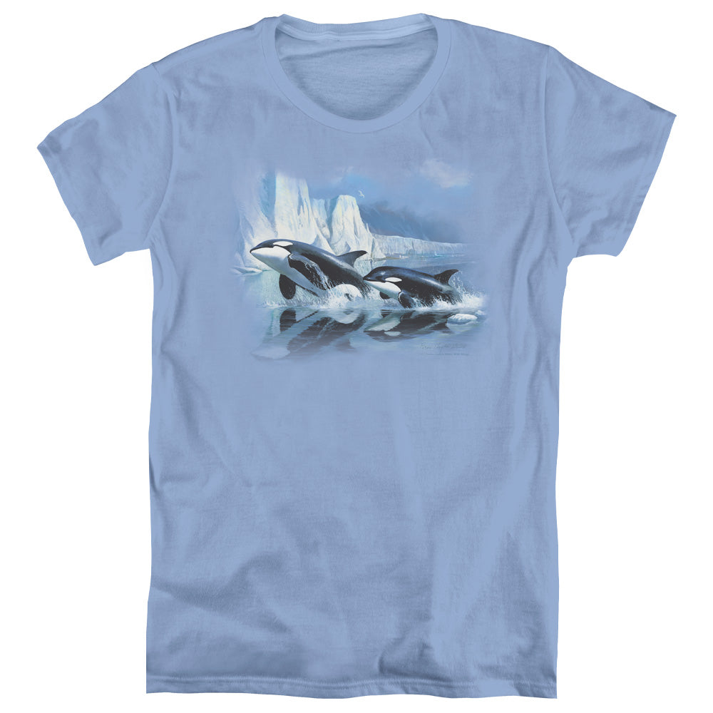 WILDLIFE/GLACIERS EDGE ORCAS