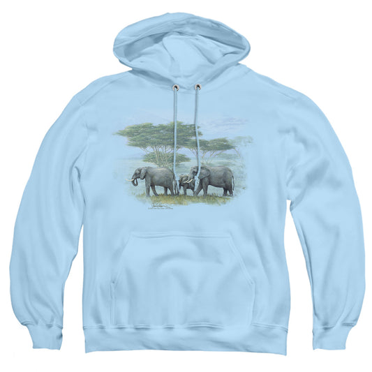 WILDLIFE/HEART OF AFRICA