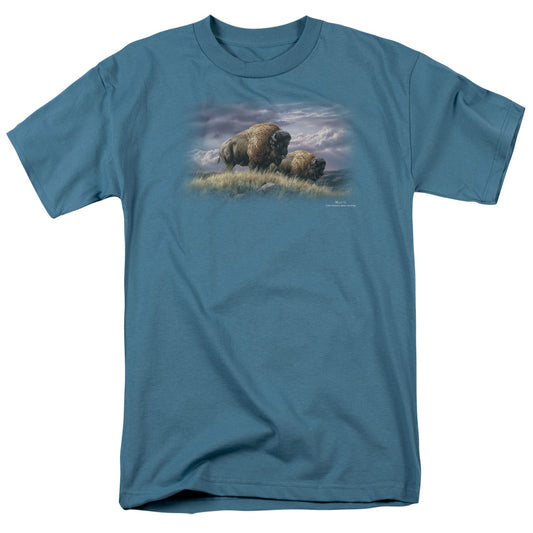 WILDLIFE/NOMADS OF THE PLAINS