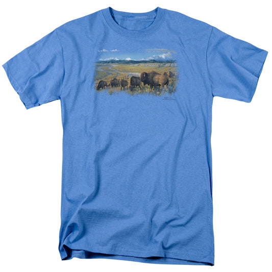 WILDLIFE/THE PASSING HERD