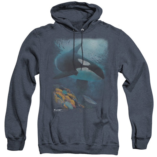 WILDLIFE/SALMON HUNTER ORCA