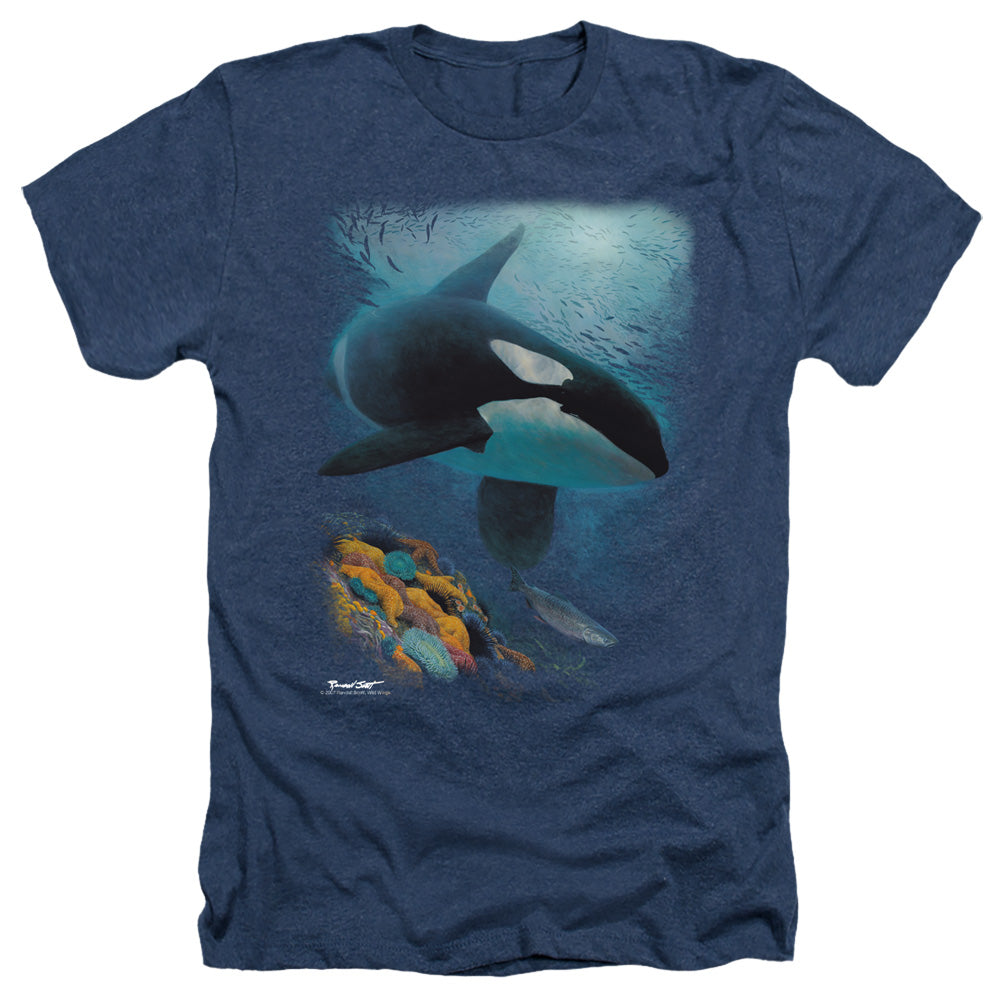 WILDLIFE/SALMON HUNTER ORCA