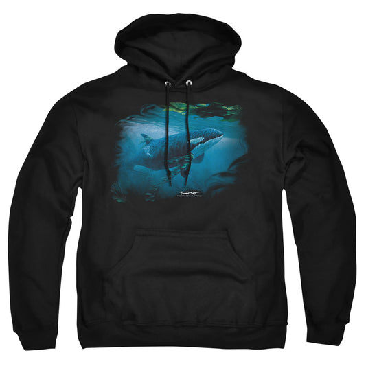 WILDLIFE/PURSUIT THRU THE KELP ORCA