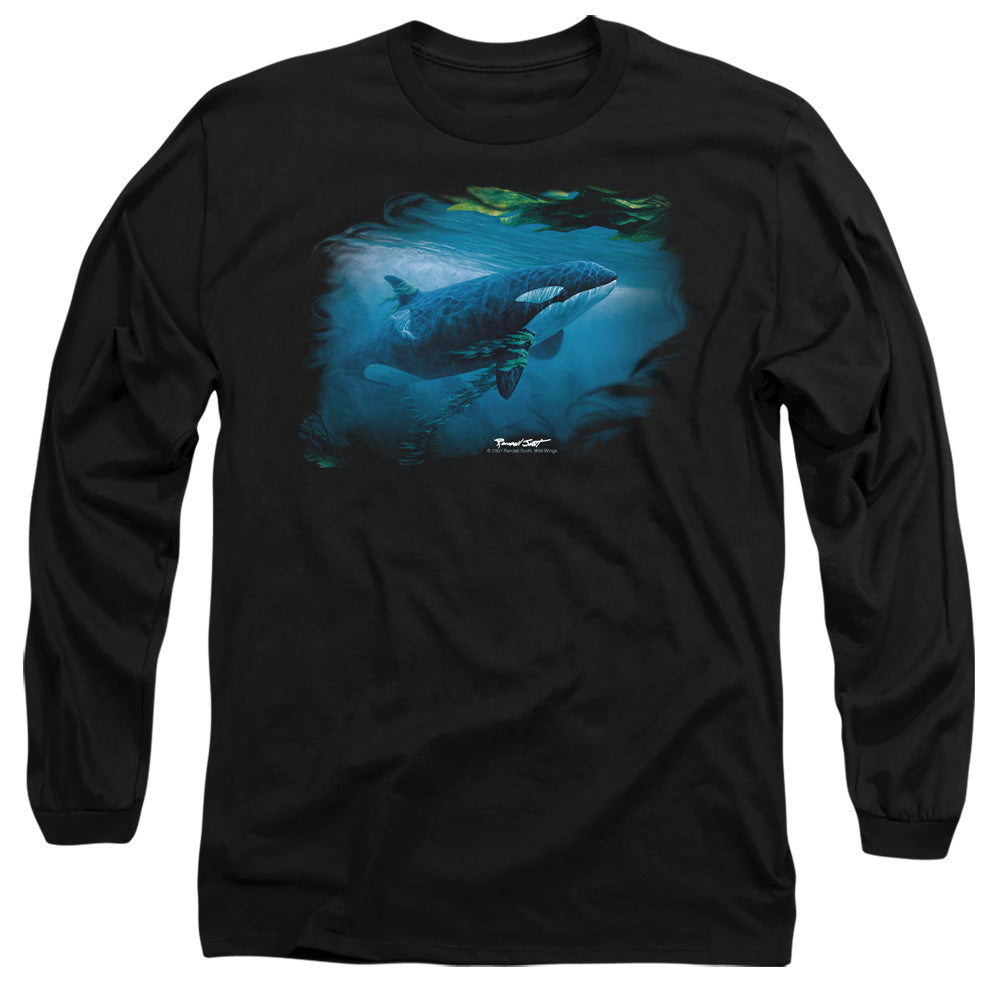WILDLIFE/PURSUIT THRU THE KELP ORCA