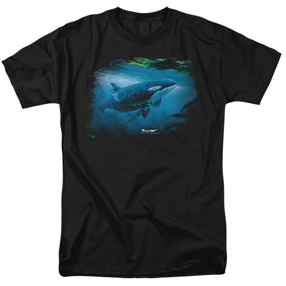 WILDLIFE/PURSUIT THRU THE KELP ORCA