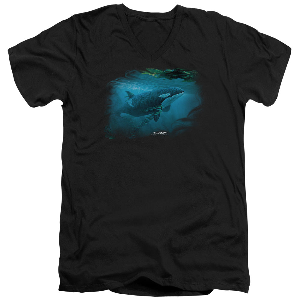 WILDLIFE/PURSUIT THRU THE KELP ORCA