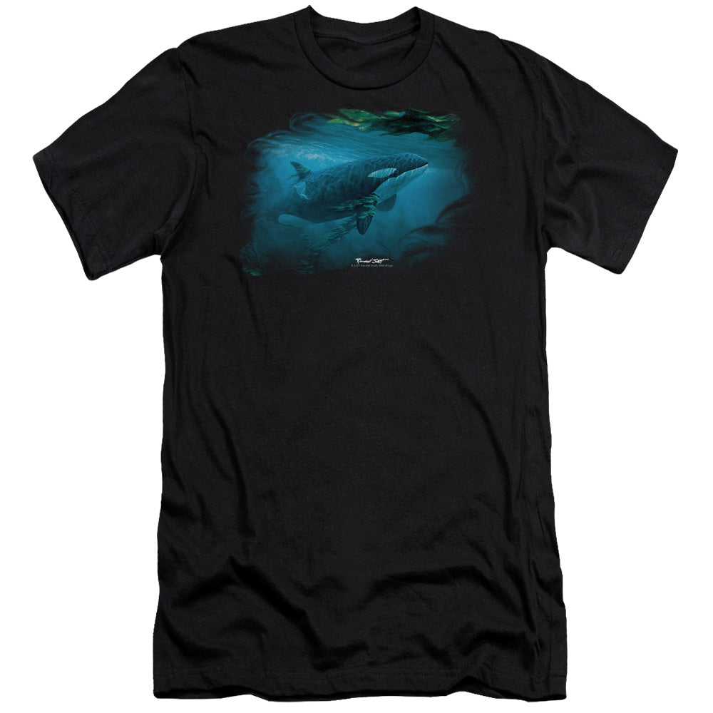 WILDLIFE/PURSUIT THRU THE KELP ORCA